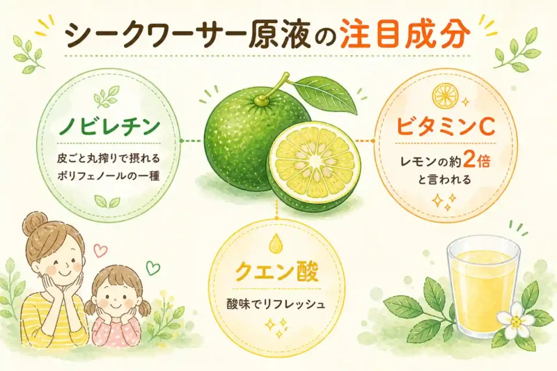 シークワーサー原液の成分ノビレチンと効果
